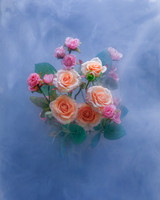 Roses in Cornflower Blue