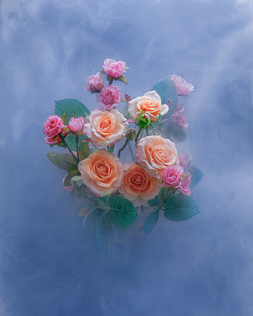 Roses in Cornflower Blue