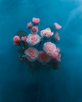 Roses in Cerulean