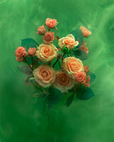 Roses in Forest Green