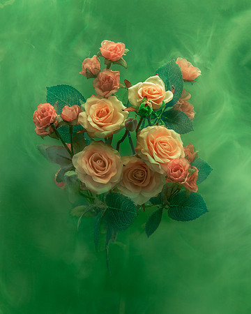 Roses in Forest Green