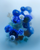 Ranunculus in Blue